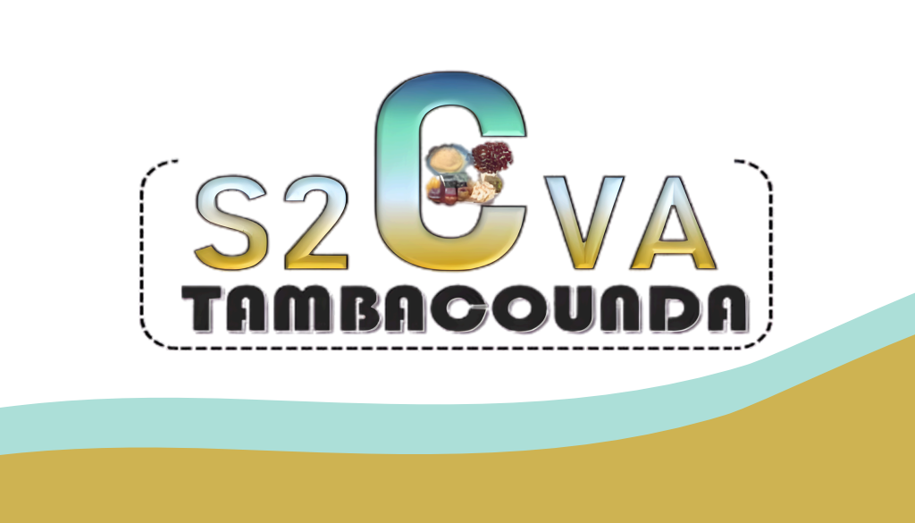 S2CVA