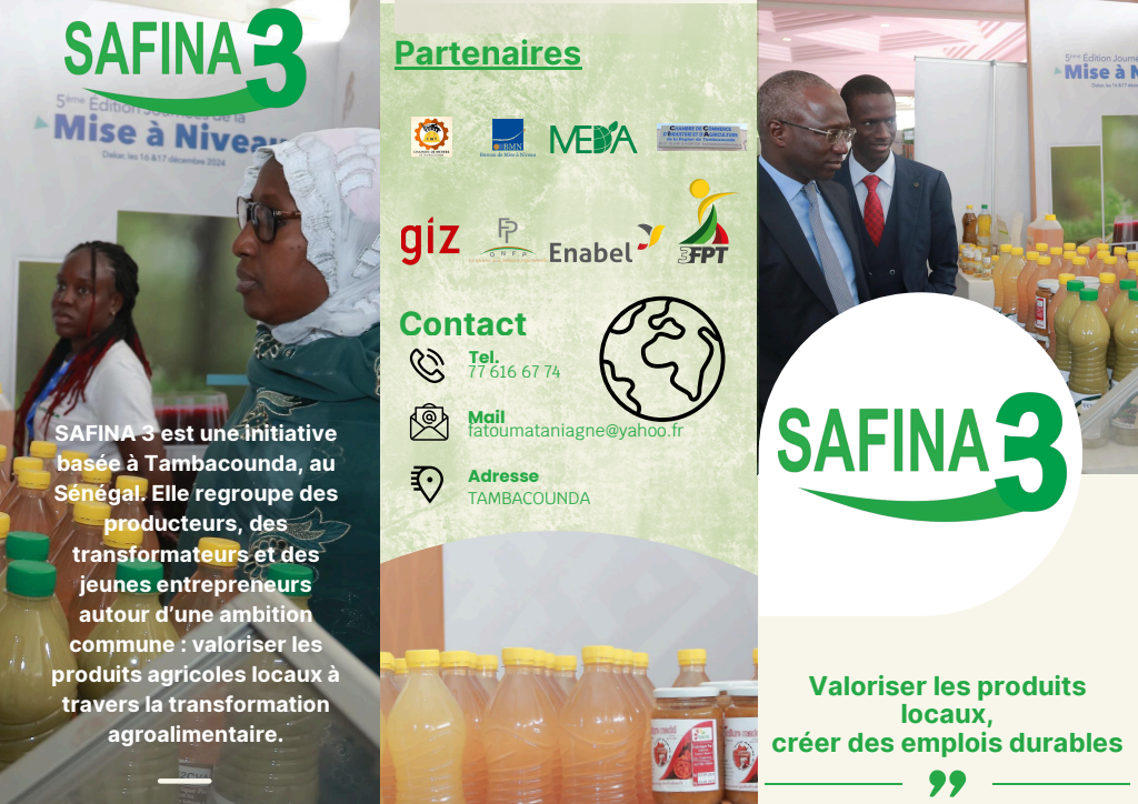 SAFINA3 — visuel