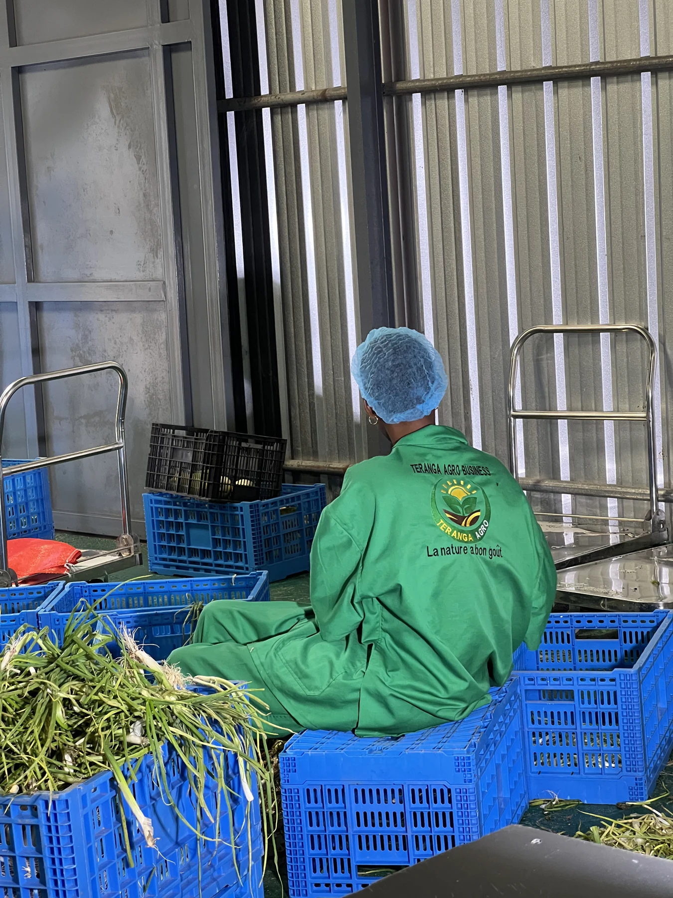 TERANGA AGRO — visuel