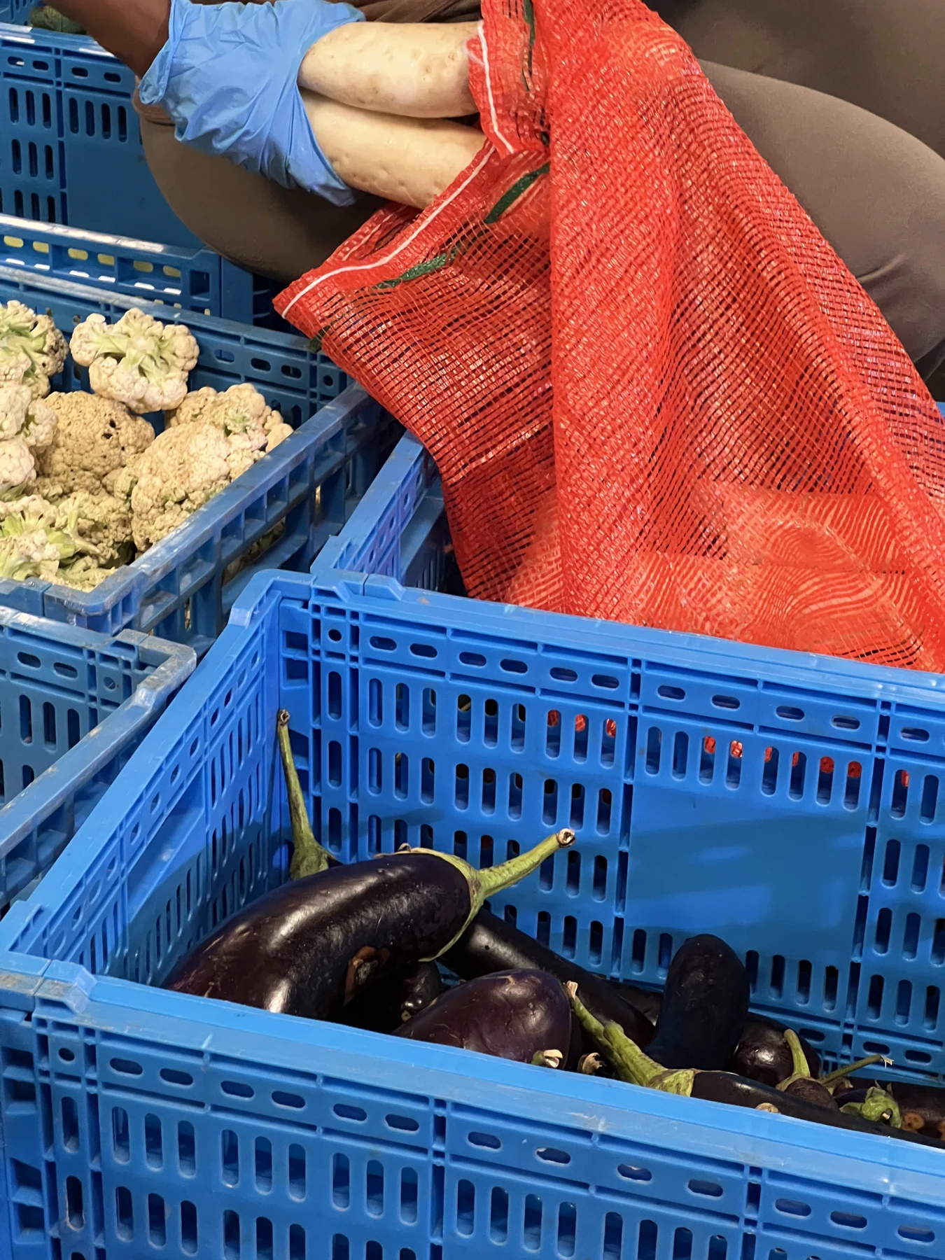 TERANGA AGRO — visuel